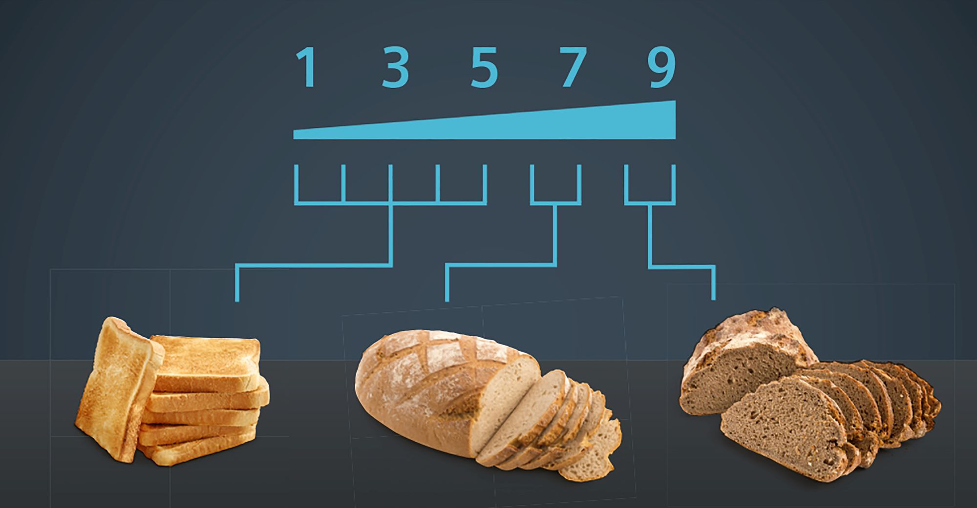 Compact toaster sensor for senses Grafit