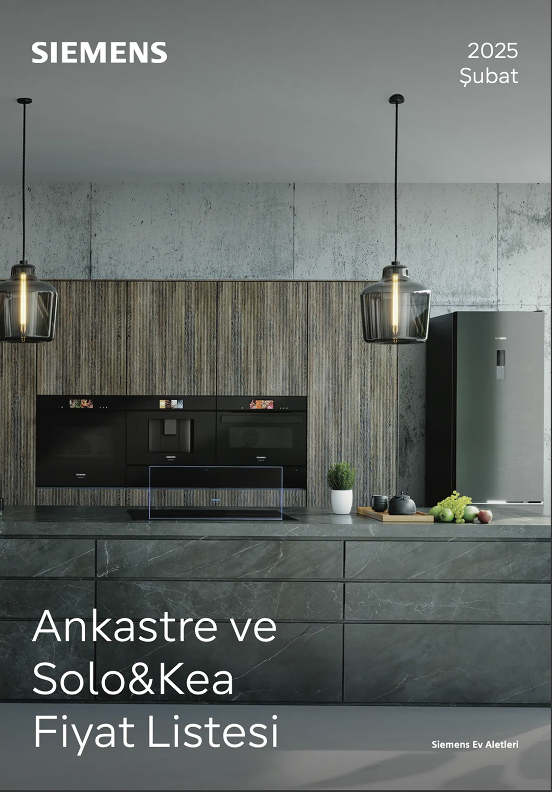 ozguclu-katalog-siemens-5